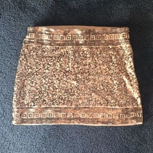 Sparkly Express Skirt